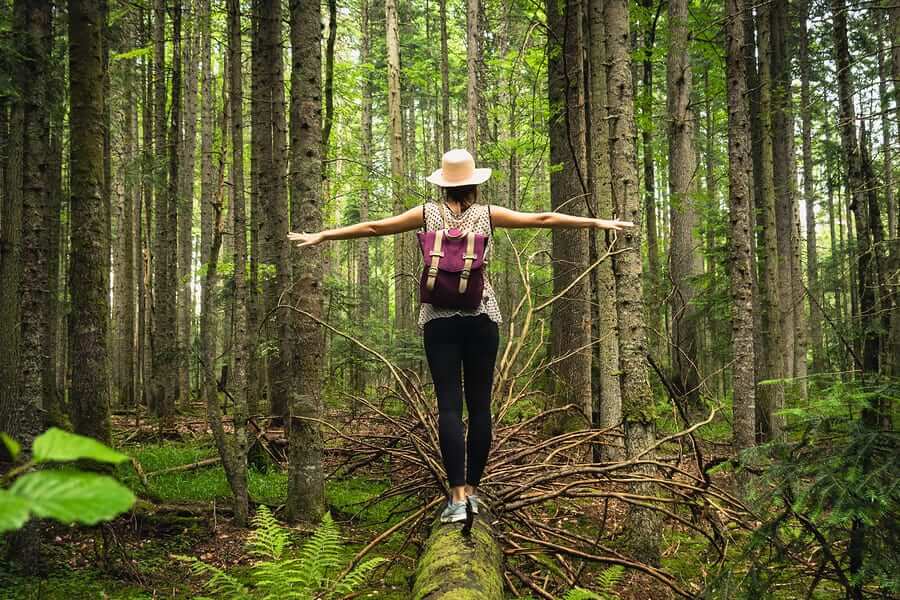 The Positive Impact of Connection with Nature