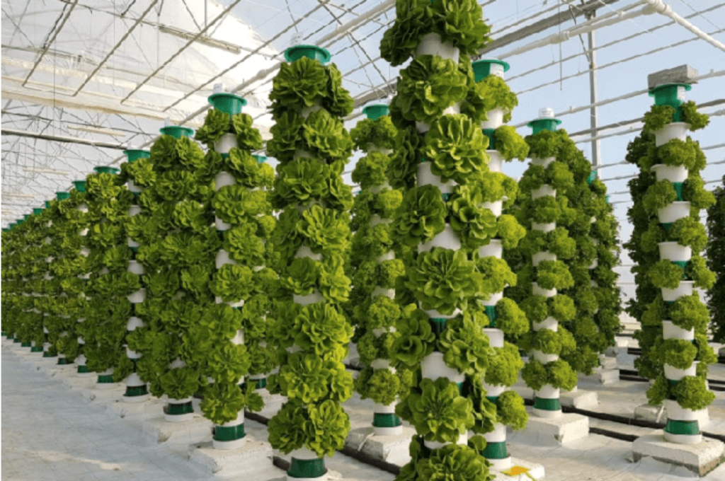 Vertical Farming