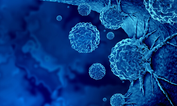 Advances in Cancer Treatment: From Immunotherapy to Precision Drugs